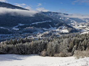 Chalet in Stadl an der Mur Styria near ski area